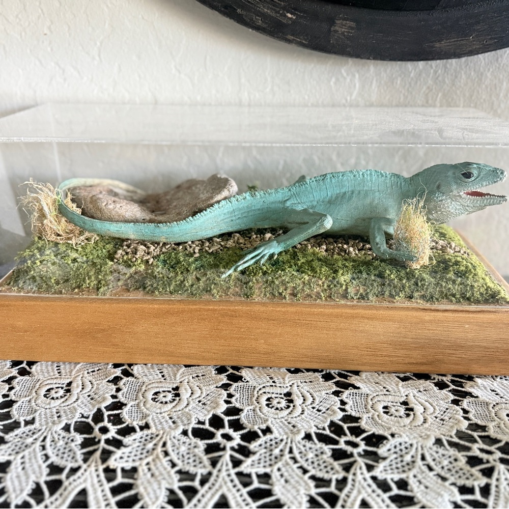 Fake lizard diorama vintage handmade oddity